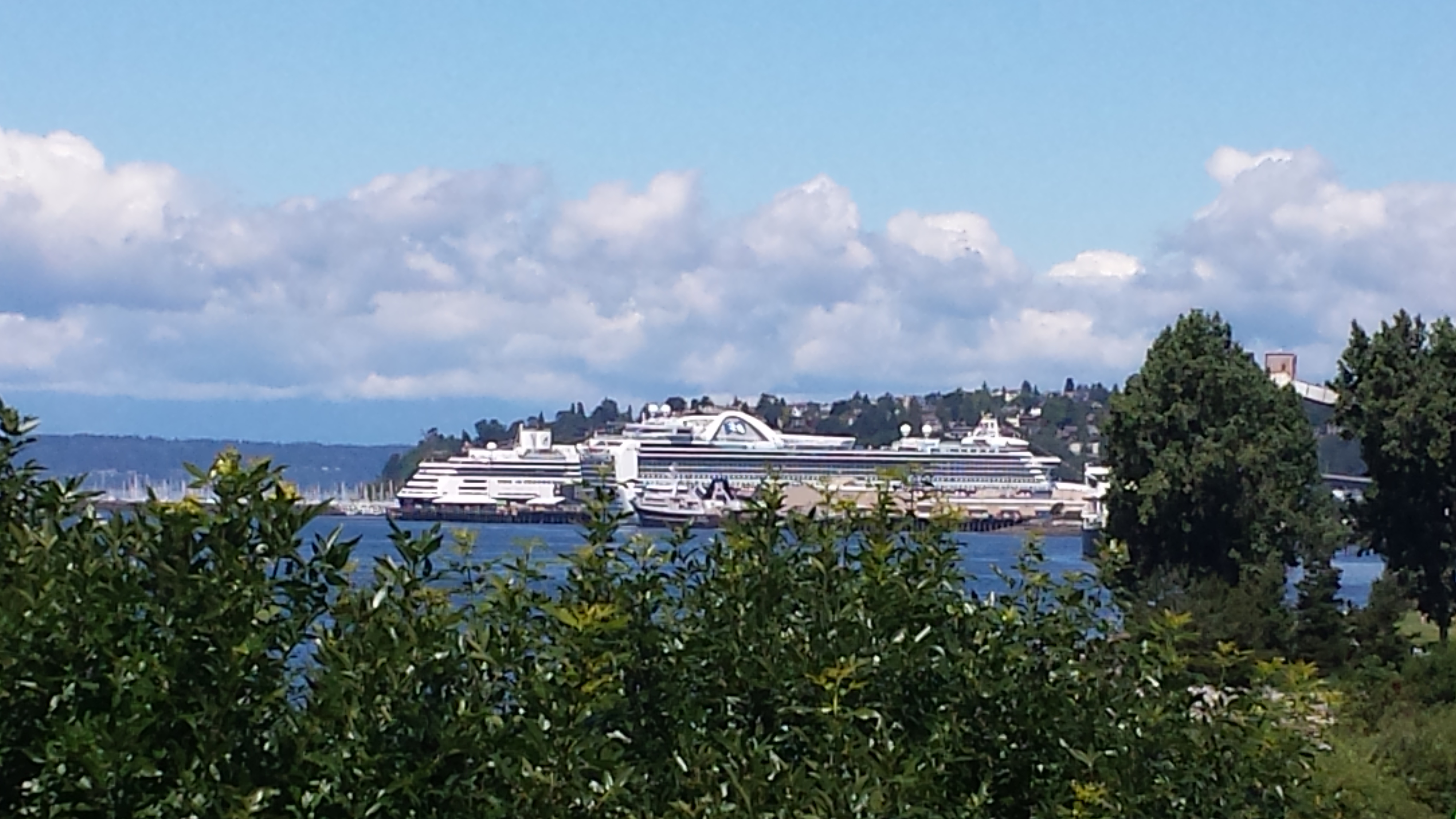 Cruise ships in Port of Seattle ready for their Alaska departure. 
