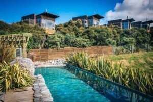 Hapuku Lodge + Tree Houses